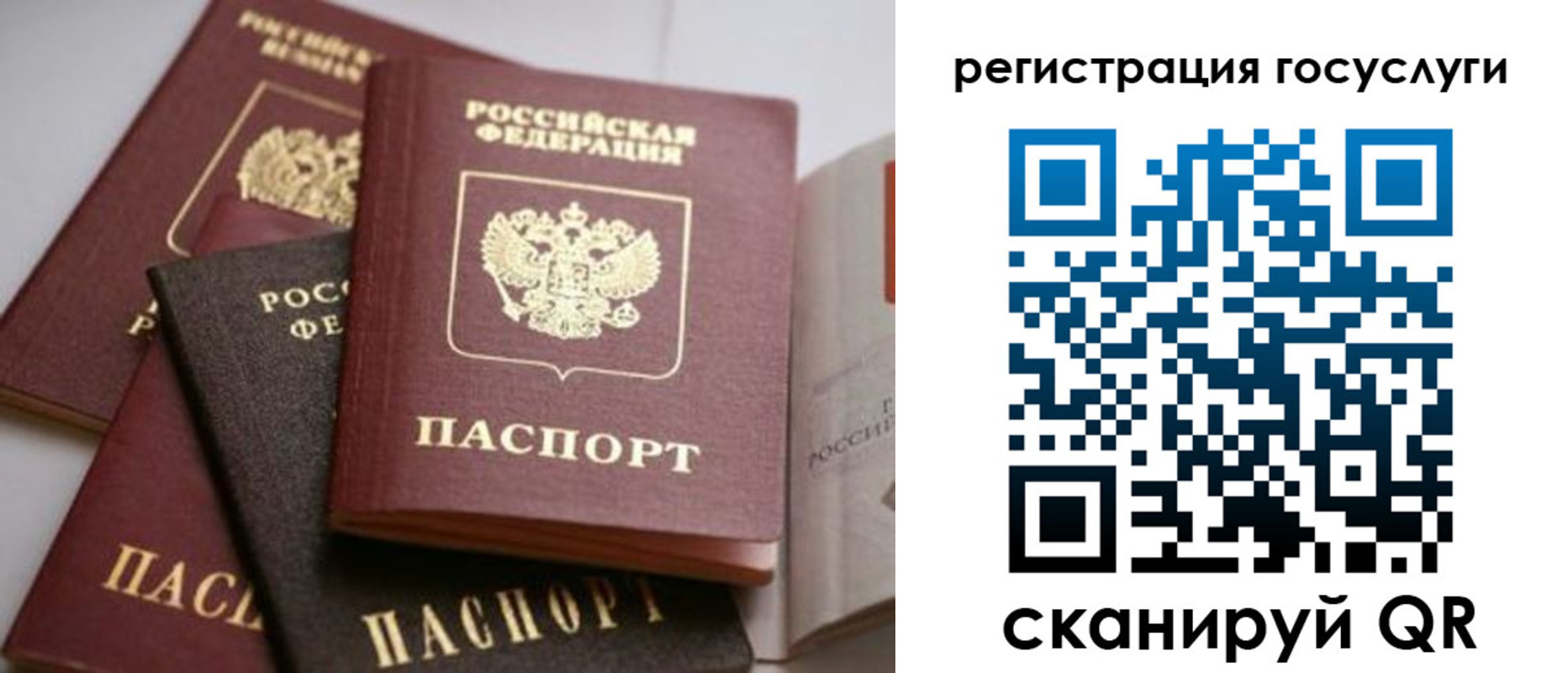 пропишу в квартире в Домодедово